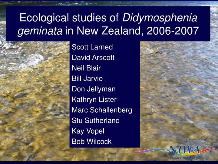 ecological studies of didymosphenia geminata in new zealand 2006 2007