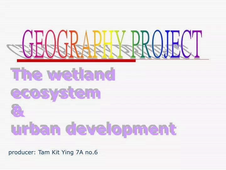 the wetland ecosystem urban development