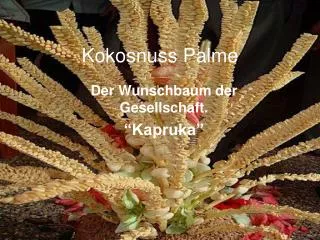 kokosnuss palme