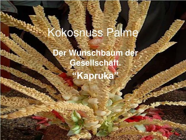 kokosnuss palme