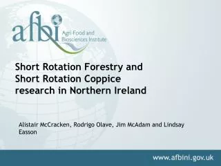 Short Rotation Forestry and Short Rotation Coppice research in Northern Ireland