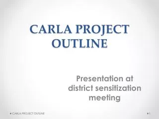 CARLA PROJECT OUTLINE