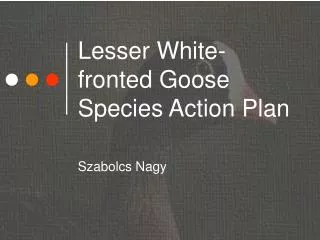 Lesser White-fronted Goose Species Action Plan