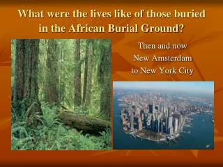 What were the lives like of those buried in the African Burial Ground?