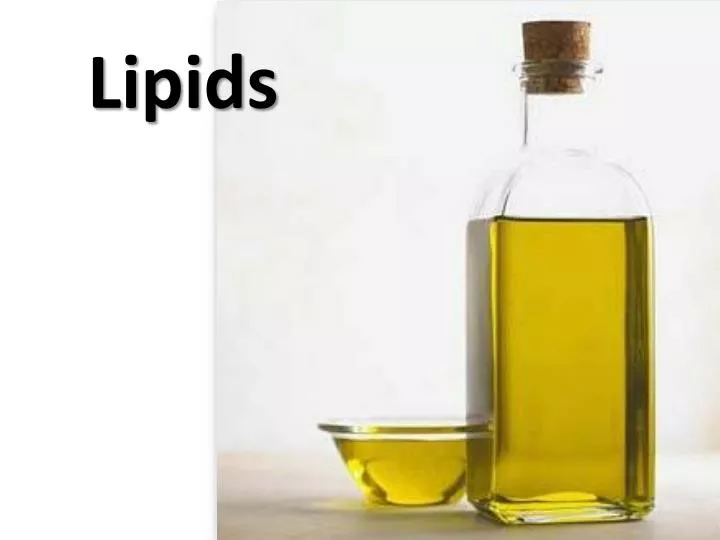 lipids