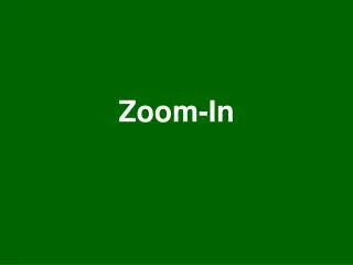 Zoom-In