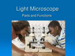 Light Microscope