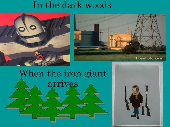 in the dark woods