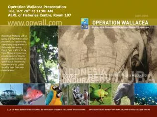 Operation Wallacea Presentation Tue, Oct 28 th at 11:00 AM AERL or Fisheries Centre, Room 107