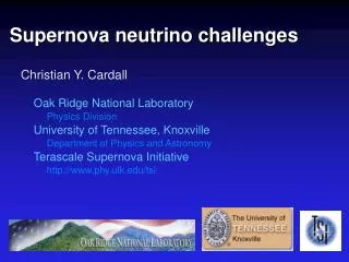 Supernova neutrino challenges