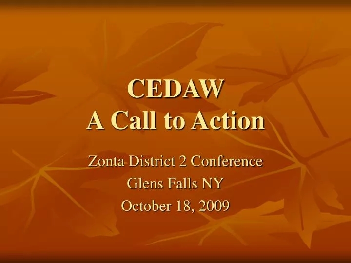 cedaw a call to action