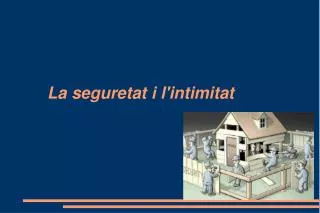 la seguretat i l intimitat