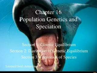 Chapter 16 Population Genetics and Speciation