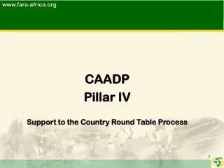 CAADP Pillar IV Support to the Country Round Table Process