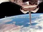 Keeping Animals in Space - slide 1