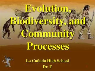 Evolution, Biodiversity, and Community Processes