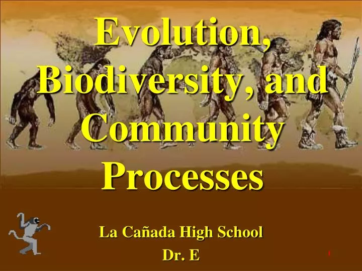 evolution biodiversity and community processes