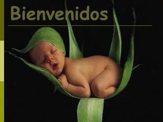 bienvenidos