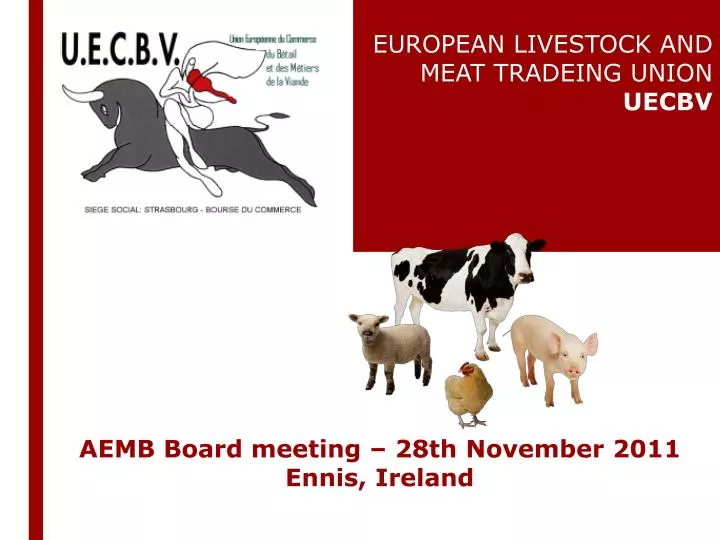 aemb board meeting 28th november 2011 ennis ireland