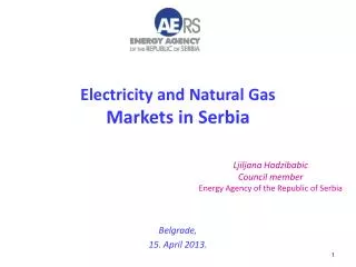 E lectricity and N atural G as Markets in Serbia