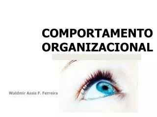 comportamento organizacional