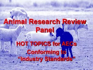 Animal Research Review Panel