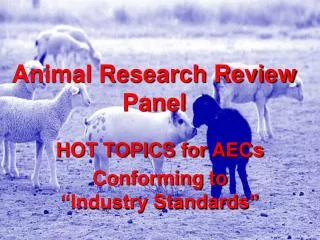 animal research review panel