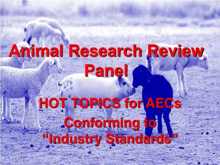 animal research review panel
