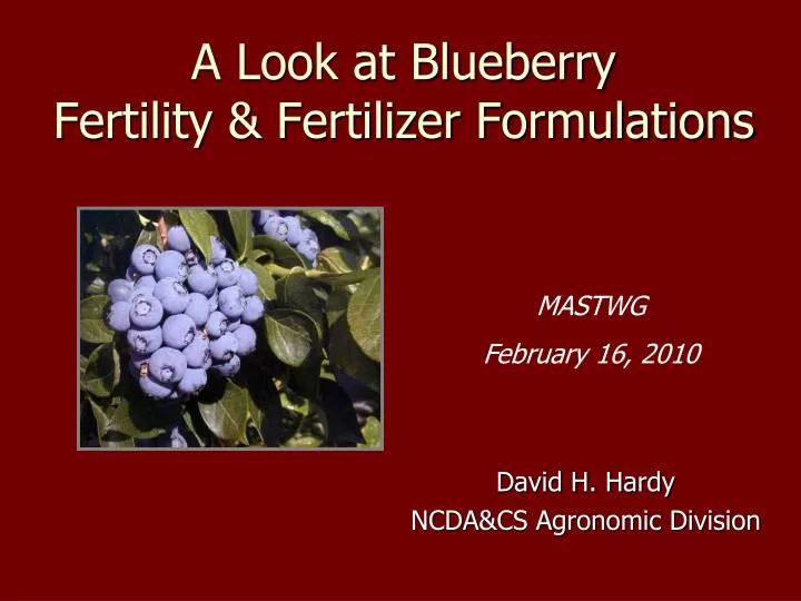 a look at blueberry fertility fertilizer formulations