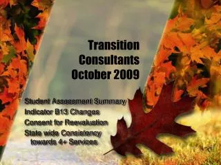 Transition Consultants October 2009