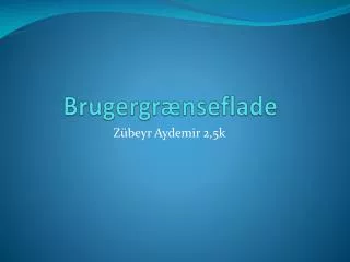 brugergr nseflade