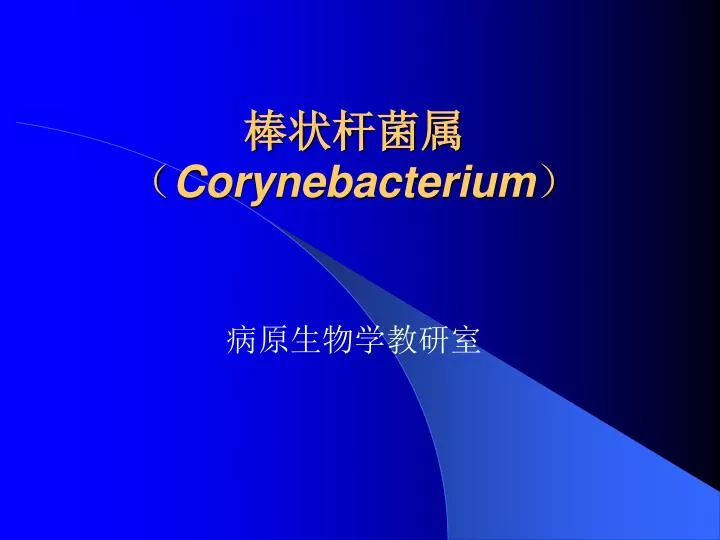 corynebacterium