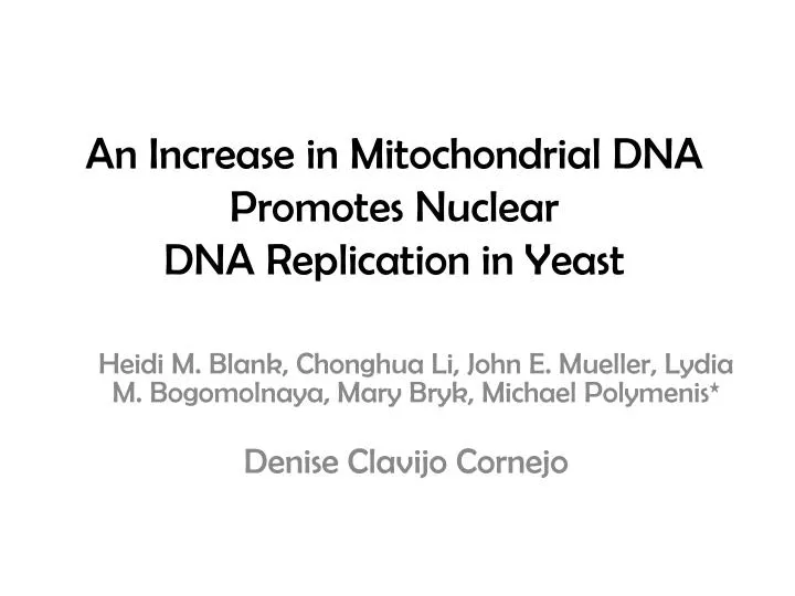 an increase in mitochondrial dna promotes nuclear dna replication in yeast