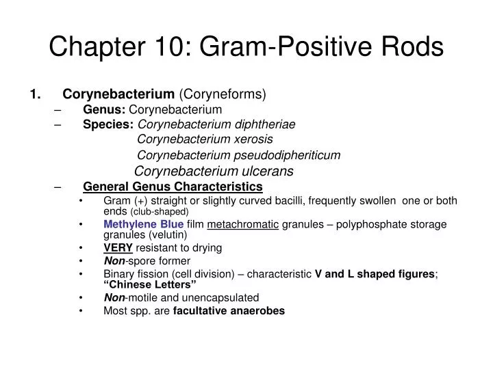 chapter 10 gram positive rods