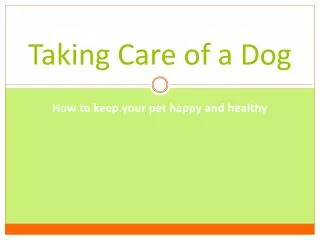 Taking Care of a Dog