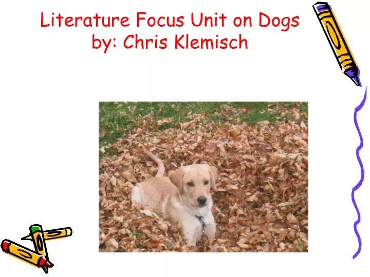 literature focus unit on dogs by chris klemisch