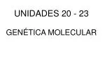 UNIDADES 20 - 23 GENÉTICA MOLECULAR - slide 1