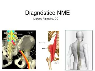 diagn stico nme