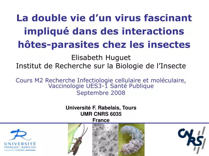la double vie d un virus fascinant impliqu dans des interactions h tes parasites chez les insectes