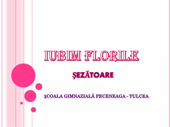 iubim florile ez toare