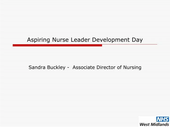 aspiring nurse leader development day