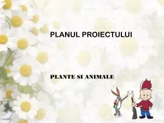 planul proiectului