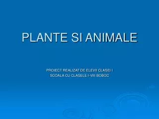 plante si animale