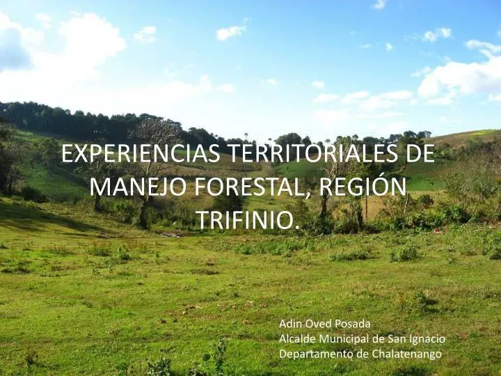 experiencias territoriales de manejo forestal regi n trifinio