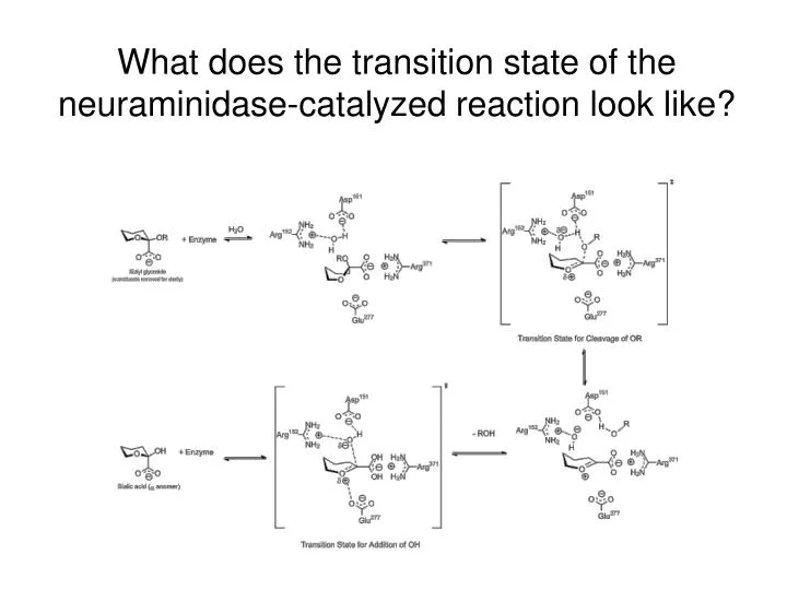 what does the transition state of the neuraminidase catalyzed reaction look like