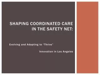 Shaping Coordinated Care in the Safety Net: