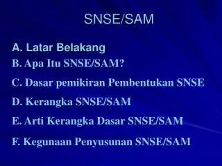 snse sam