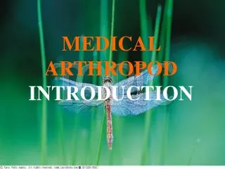 MEDICAL ARTHROPOD INTRODUCTION