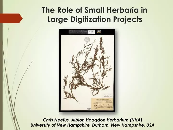 the role of small herbaria in large digitization projects
