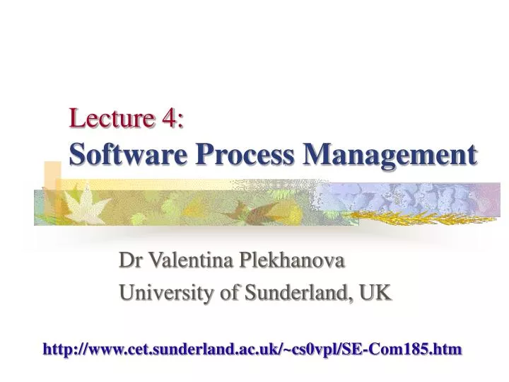 lecture 4 software process management